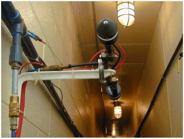 Intervention Strategies for Reducing Salmonella Prevalence on Ready-to-Cook Chicken - Image 1