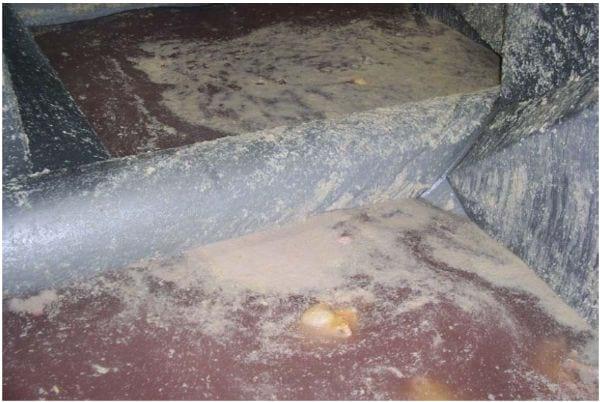 Intervention Strategies for Reducing Salmonella Prevalence on Ready-to-Cook Chicken - Image 25