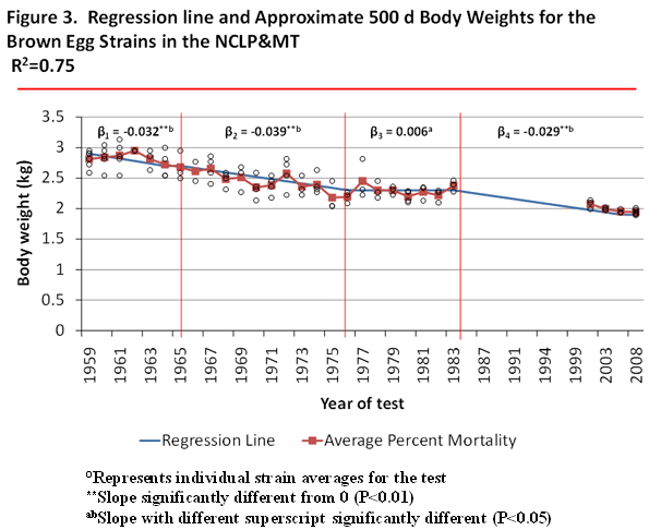 Genetic stock evaluation during laying period - Image 3