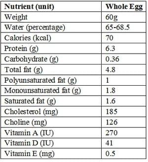 Egg Nutrition