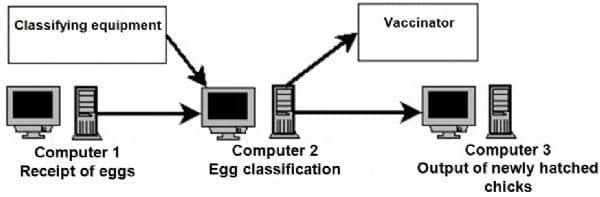 Development of an automation computer software for the management and control of egg incubation companies - Image 4