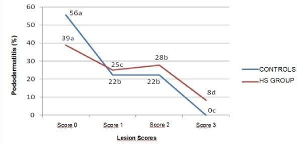 Incidence of contact pododermatitis in broilers subjected to heat stress - Image 1