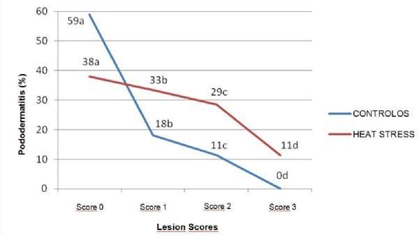 Incidence of contact pododermatitis in broilers subjected to heat stress - Image 3