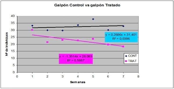 Alphitobius diaperinus control in broiler litter with Eco-Guard® - Image 1