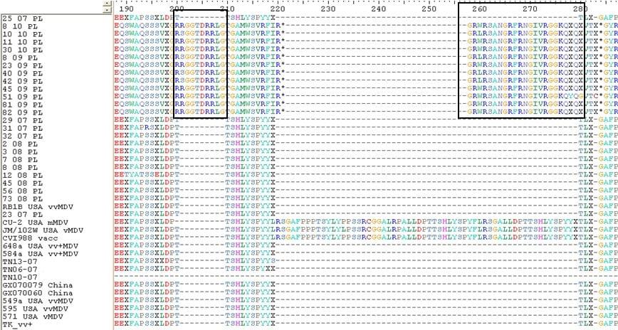 Molecular characteristics of meq oncogene from recently isolated Polish field strains of Marek’s disease virus - Image 5
