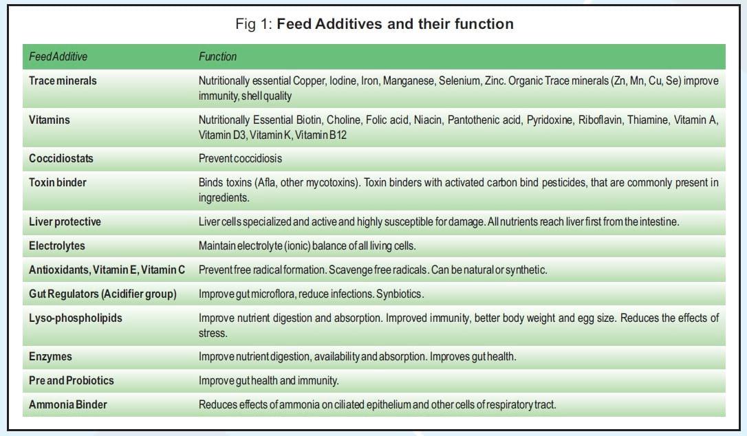 Balanced Nutrition for Different Phases of Chicken - Image 1