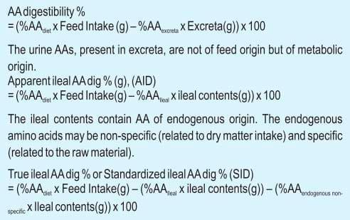 Balanced Nutrition for Different Phases of Chicken - Image 7