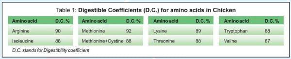 Balanced Nutrition for Different Phases of Chicken - Image 8