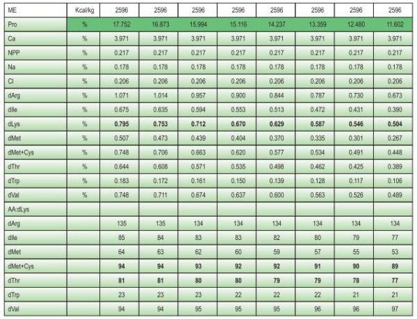 Balanced Nutrition for Different Phases of Chicken - Image 23