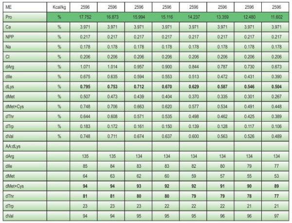 Balanced Nutrition for Different Phases of Chicken - Image 23