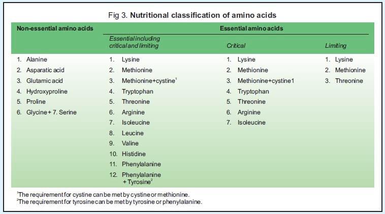 Balanced Nutrition for Different Phases of Chicken - Image 5