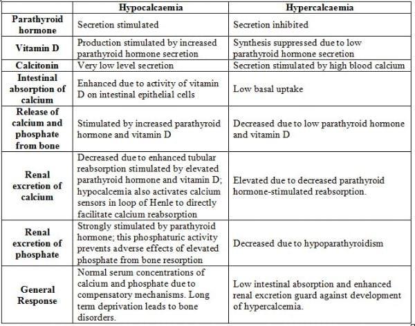 Metabolic Bone Disorder: Rickets - Image 3