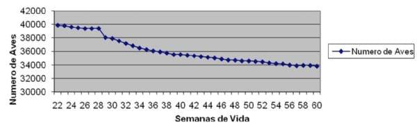New Marek's disease cases in Argentina – preliminary studies - Image 1