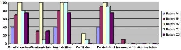 Incubator room dissemination of escherichia coli clones: isolation from bone marrow and resistance to gentamicin - Image 1