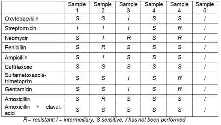 Use of Rapid Test in Detection of Antibiotic Susceptibility of Common Mastitis causing Bacteria - Image 1