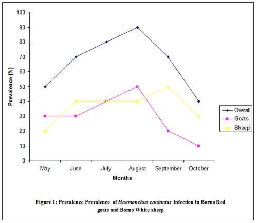 Prevalence and intensity of Haemonchus contortus infection in two breeds of small ruminants in Maiduguri, an arid zone of Northern Nigeria - Image 1