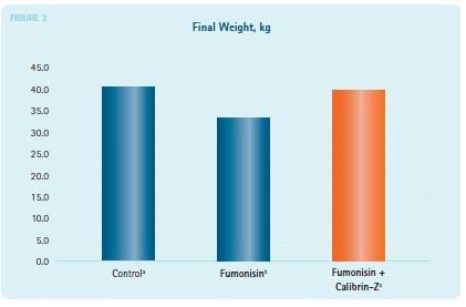 Calibrin®-Z Adsorbs Fumonisin - Image 5