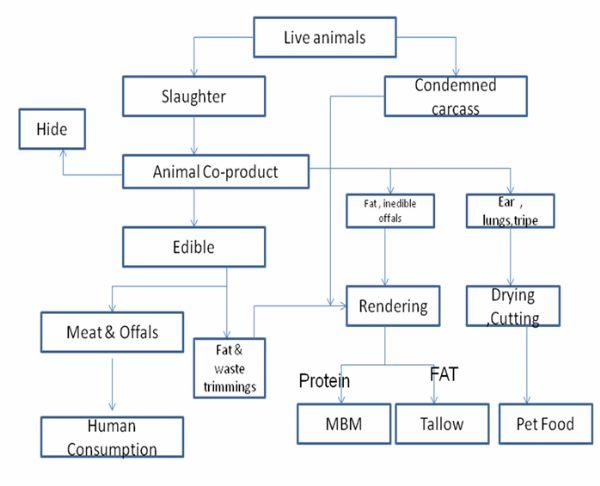 Rendering technology and rendered by-products - Image 1