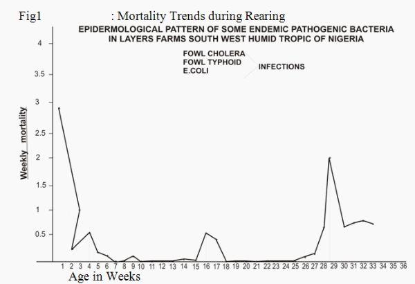 Day Old Chicks (DOC) Health Status and Early Mortalities: Consequences of Mycotoxin on Breeder Farms and Hatchery Managment in West Africa: Case Studies from Nigeria VE - Image 10