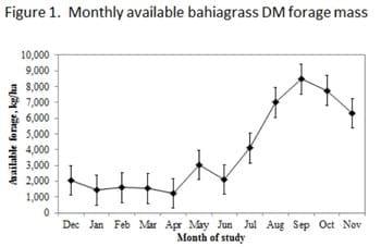 Strategic Supplementation of Beef Cows to Correct for Nutritional Imbalances - Image 4