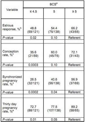 Strategic Supplementation of Beef Cows to Correct for Nutritional Imbalances - Image 3