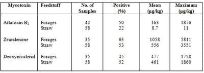 Mycotoxins in Dairy Cattle - Image 2