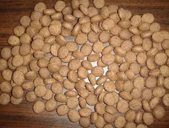 Energy efficiency improving & pellet uniformity control in the extrusion of aquafeed - Image 6