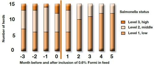 Salmonella in pigs - Image 2