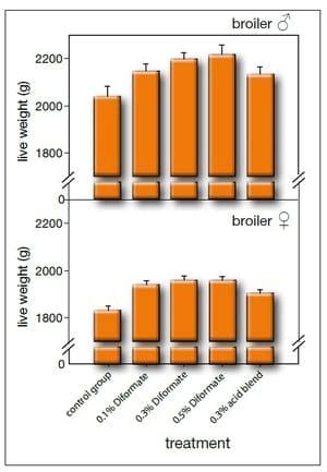 Performance enhancement through the use of diformates in broiler - Image 2