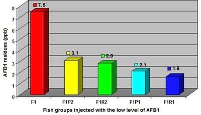 Protective effect of antioxidant medicinal herbs, Rosemary and Parsley, on subacute aflatoxicosis in Oreochromis niloticus - Image 1