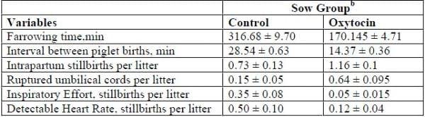 A Review of Oxytocin Use for Sows and Gilts - Image 2