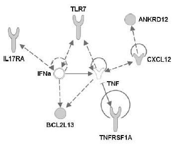 Microsatellite mapping of QTLs affecting resistance to coccidiosis (Eimeria tenella) in a Fayoumi × White Leghorn cross - Image 12