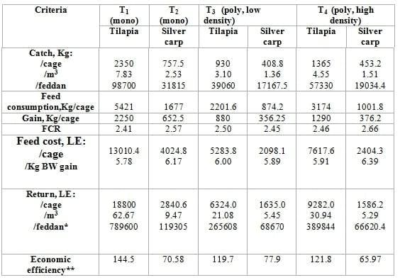 Intensive Rearing of Mono-Sex Nile Tilapia and Silver Carp Under Mono-or Poyculture Systems at different Stocking Densities in Floating Net Cages - Image 13