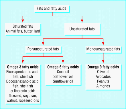 Lean Meat Efficiency in Broiler - Image 2