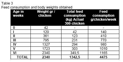 Alternatives to Broiler Chickens Breeding in Peasant Households - Image 8