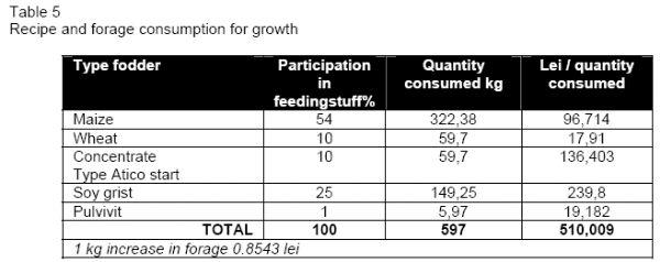 Alternatives to Broiler Chickens Breeding in Peasant Households - Image 10
