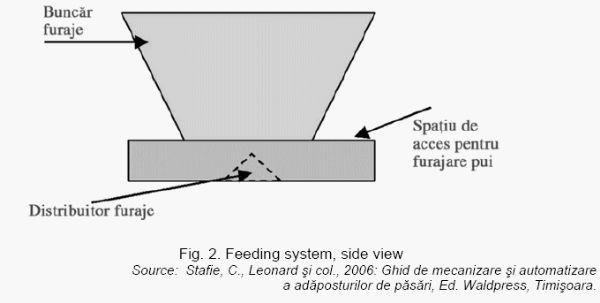 Alternatives to Broiler Chickens Breeding in Peasant Households - Image 5