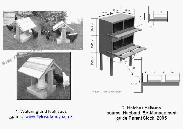 Alternatives to Laying Hens Breeding in Peasant Households - Image 6