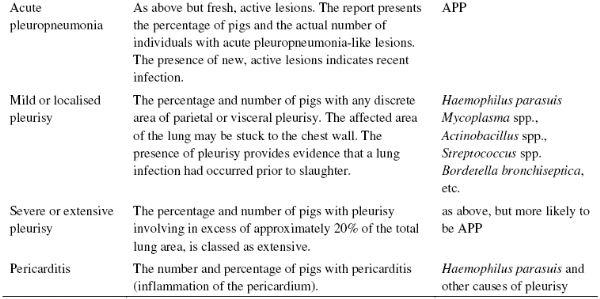 BPEX Pig Health Scheme: a useful monitoring system for respiratory disease control in pig farms? - Image 3