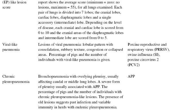 BPEX Pig Health Scheme: a useful monitoring system for respiratory disease control in pig farms? - Image 2