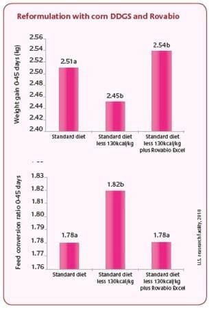 Enhance the nutritional value of corn DDGS in poultry - Image 1