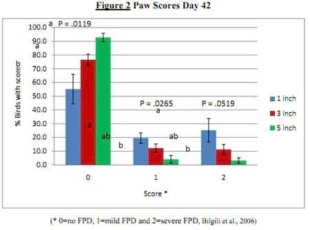 The Relationship between Litter Moisture and Foot Pad Dermatitis - Image 4