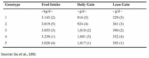 Maximizing Feed Intake in Growing Pigs - Image 3