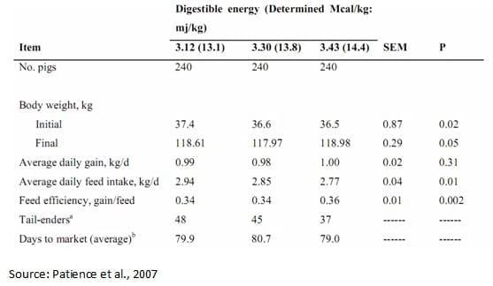 Maximizing Feed Intake in Growing Pigs - Image 4