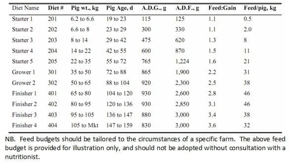 Maximizing Feed Intake in Growing Pigs - Image 1
