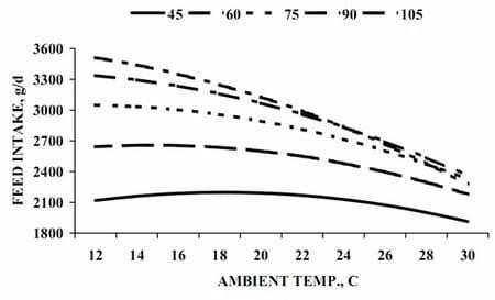 Maximizing Feed Intake in Growing Pigs - Image 6