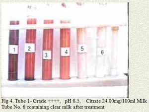 Pathobiology, etiology and novel mastitis therapy in buffalo - Image 5