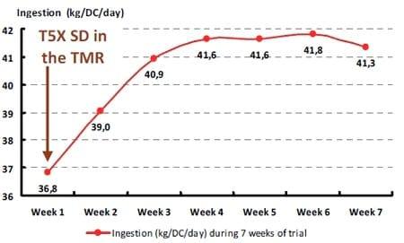 T5X and Zootechnical Performances of Dairy Cows Facing Suspected Mycotoxins Problems. Northern Profile (Trichotecens / ZEA / Fumo) - Image 5
