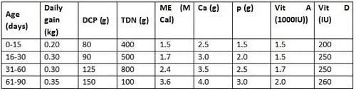Calf mortality: Causes and control measures - Image 1