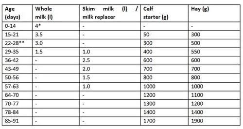 Calf mortality: Causes and control measures - Image 2